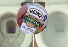 Vinegar Can Clean Your Toilet Easily, You Don’t Need Any Toilet Cleaners