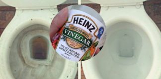 Vinegar Can Clean Your Toilet Easily, You Don’t Need Any Toilet Cleaners