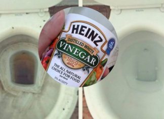 Vinegar Can Clean Your Toilet Easily, You Don’t Need Any Toilet Cleaners