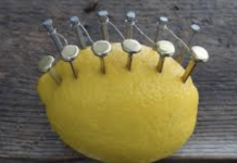 Hammer a few nails into a lemon and see what happens next!