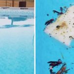 This Is The Fastest, Easiest Way To Get Bugs Out Of Your Pool