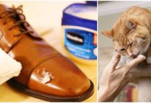 10 Life-Changing Vaseline Hacks That Will Save You Money