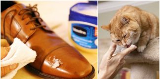 10 Life-Changing Vaseline Hacks That Will Save You Money