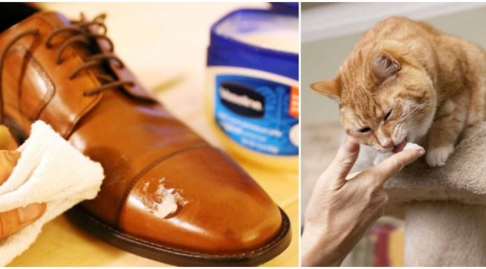 10 Life-Changing Vaseline Hacks That Will Save You Money
