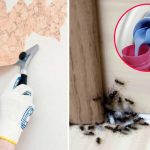10 Ways To Use Fabric Softener That Have Nothing To Do With Laundry