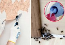 10 Ways To Use Fabric Softener That Have Nothing To Do With Laundry