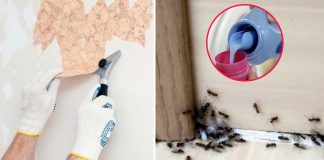 10 Ways To Use Fabric Softener That Have Nothing To Do With Laundry