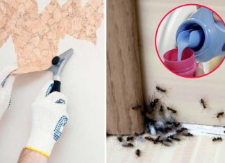 10 Ways To Use Fabric Softener That Have Nothing To Do With Laundry