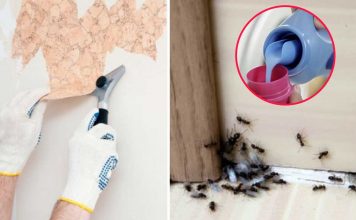10 Ways To Use Fabric Softener That Have Nothing To Do With Laundry