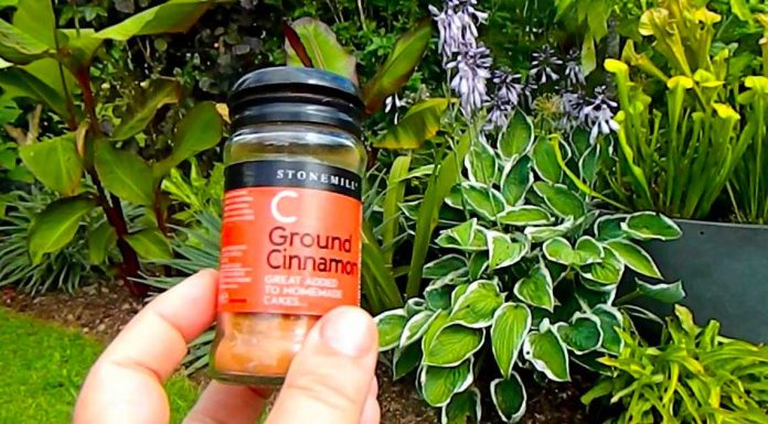 6 uses for cinnamon in the garden you wish you knew before