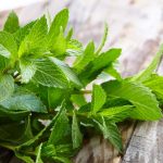 peppermint-health-benefits_0