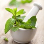 peppermint_medicinal_properties