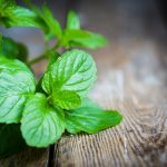 shutterstock_174457292
