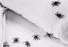 7 Method To Keep Spiders Away From Your Bed