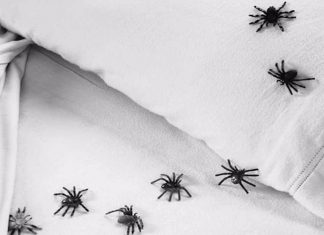 7 Method To Keep Spiders Away From Your Bed