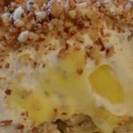 Best Lemon Lush Ever