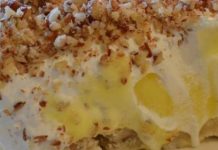 Best Lemon Lush Ever