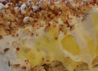 Best Lemon Lush Ever