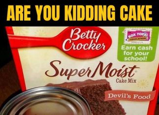 Are You Kidding Cake