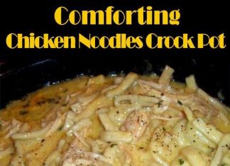 Comforting Chicken & Noodles Crock Pot
