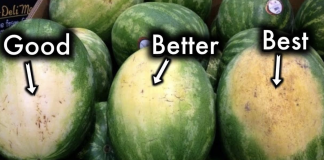 How to get better at buying watermelons
