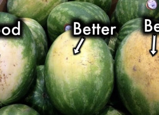How to get better at buying watermelons