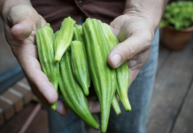 12 Health Benefits Of Okra That Will Make You Love Greens