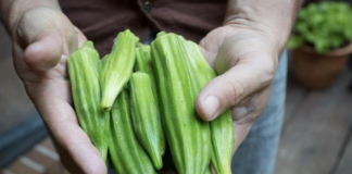 12 Health Benefits Of Okra That Will Make You Love Greens