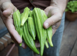 12 Health Benefits Of Okra That Will Make You Love Greens