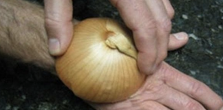 6 onion benefits I bet you never knew before