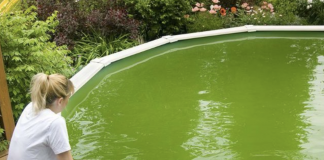 The Easiest Way to Clean Your Own Pool By Grandma
