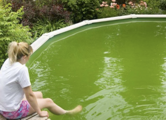 The Easiest Way to Clean Your Own Pool By Grandma