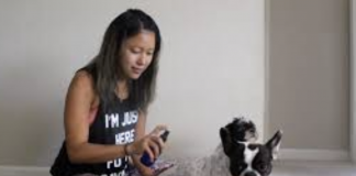 4 Grandma’s Natural Remedies To Get Rid Of Fleas Naturally: On Your Dog, At Home & In Your …