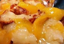 WEIGHT WATCHER EASY PEACH COBBLER