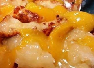 WEIGHT WATCHER EASY PEACH COBBLER