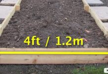 If you want more from your veggie garden, read this article.