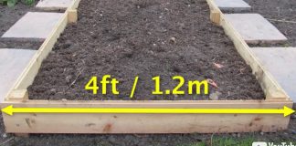 If you want more from your veggie garden, read this article.