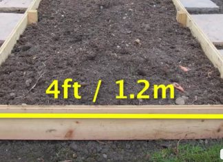 If you want more from your veggie garden, read this article.