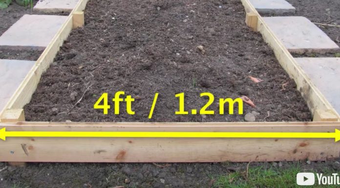 If you want more from your veggie garden, read this article.