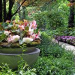 The 9 Pro Gardening Tips On How To Make Your Hostas Thrive