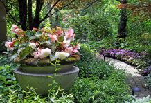 The 9 Pro Gardening Tips On How To Make Your Hostas Thrive