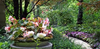 The 9 Pro Gardening Tips On How To Make Your Hostas Thrive