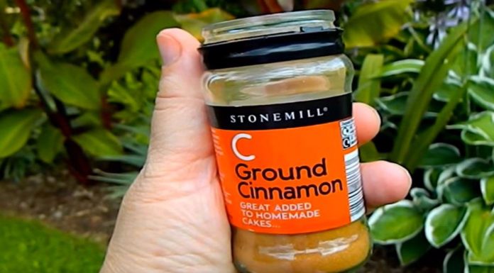 6 Unusual Uses Of Cinnamon That Will Change Your Garden!