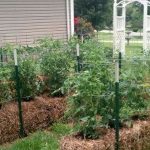 10 Tips To Straw Bale Gardening