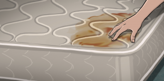 7 Efficients Ways To Clean A Mattress: Steps to Remove Mattress Stains and Smells