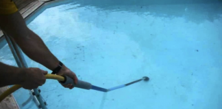 This Is The Fastest, Easiest Ways To Get Bugs Out Of Your Pool