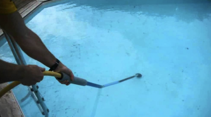 This Is The Fastest, Easiest Ways To Get Bugs Out Of Your Pool