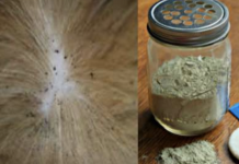 How to make a DIY natural flea and tick powder