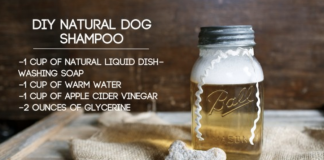 How to Make Grandma’s Natural Homemade Shampoo