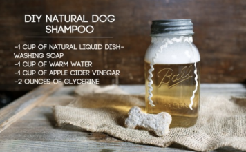 How to Make Grandma’s Natural Homemade Shampoo